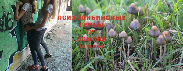 прущие крисы Богородицк