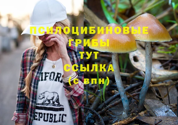 прущие крисы Богородицк