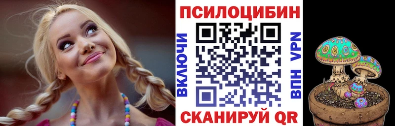 Галлюциногенные грибы GOLDEN TEACHER  Купить закладки  Минусинск 